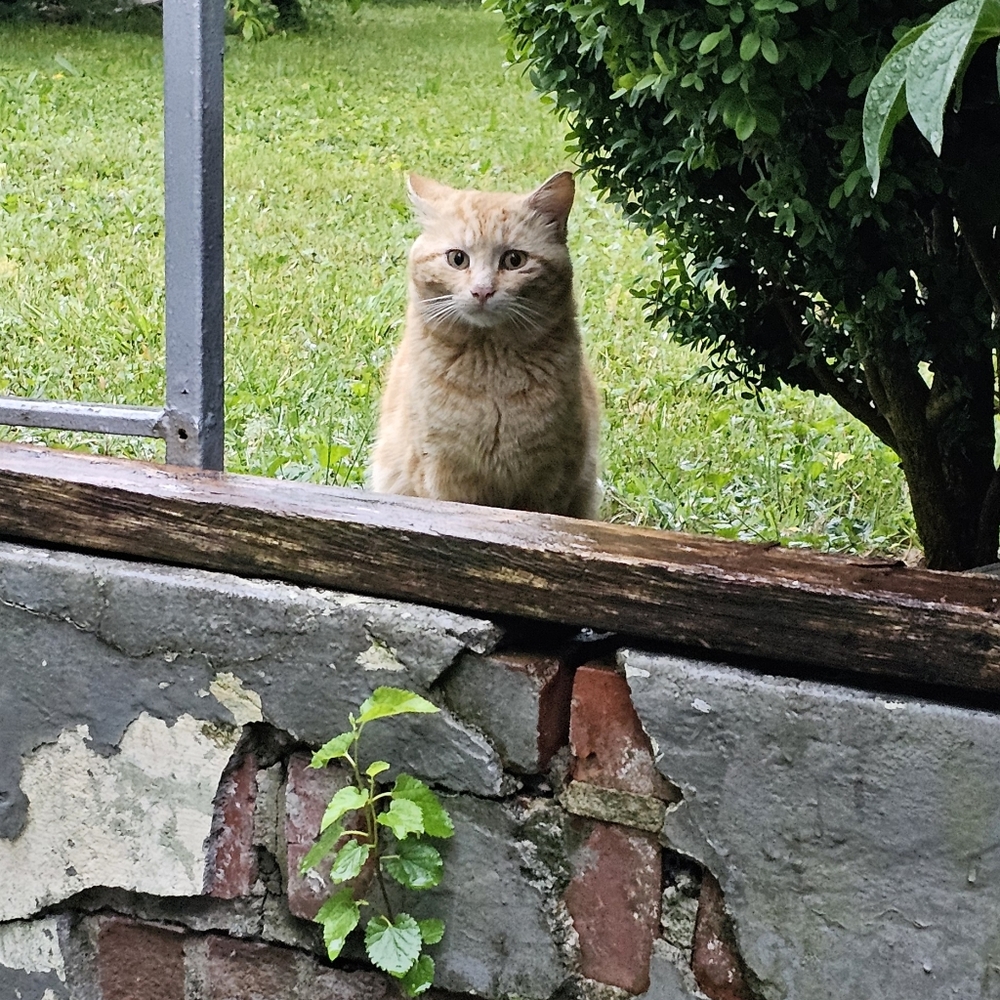 Meet your Posher, Moises